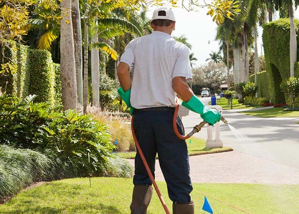 About Harris NY Pest Control